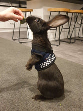 Load image into Gallery viewer, Little Poppet Police Dog Harness with lead