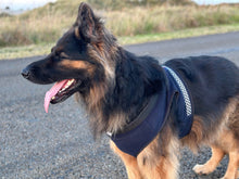 Load image into Gallery viewer, Little Poppet Police Dog Harness with lead