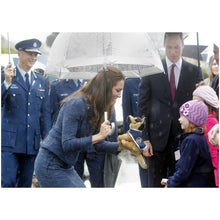 Load image into Gallery viewer, Dante - Police  Graduation Dog
