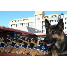 Load image into Gallery viewer, Dante - Police  Graduation Dog