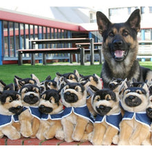 Load image into Gallery viewer, Dante - Police  Graduation Dog