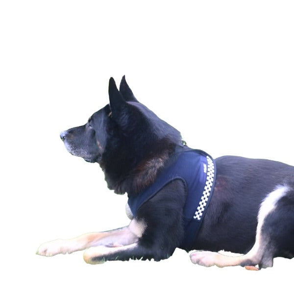 Police hotsell dog harness