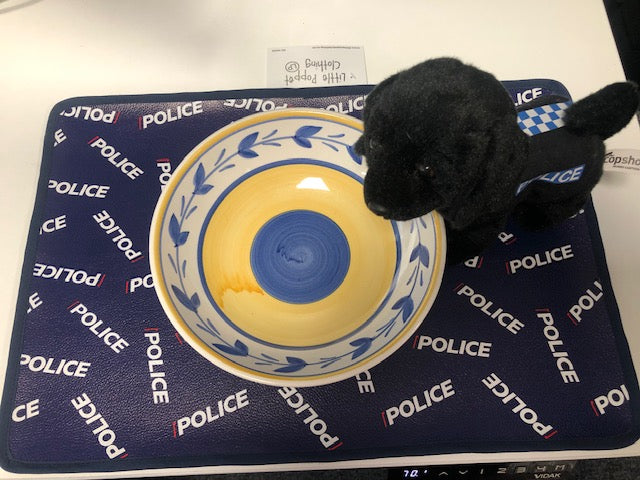 Little Poppet Pet Feeding Mat