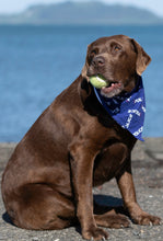 Load image into Gallery viewer, Little Poppet Pet Bandanas - Police Themed
