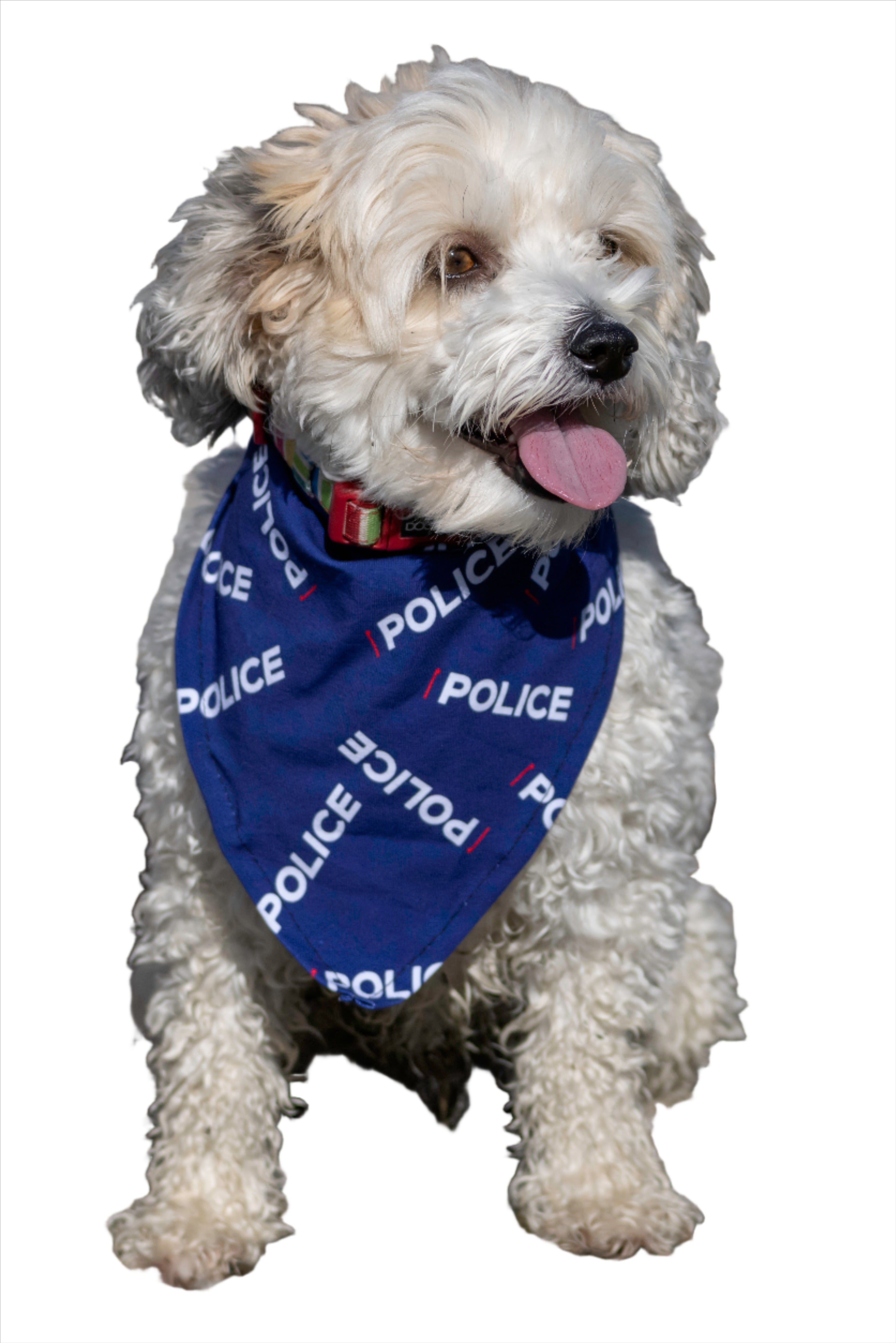 Little Poppet Pet Bandanas Police Themed The Cop Shop