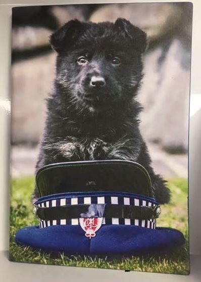 Police Puppy Notebook